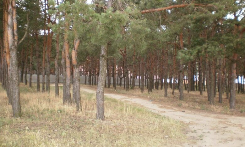 Два роки боротьби, незважаючи на шалений опір: вже 36-та ділянка на "Маяку" повернута у власність громади | Корабелов.ИНФО