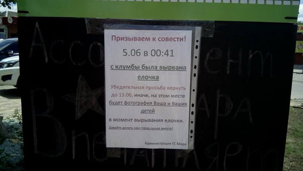 14 субъектов хозяйствования участвуют в смотре-конкурсе "Зеленые оазисы весны 2016" в Корабельном районе | Корабелов.ИНФО image 2
