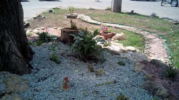 14 субъектов хозяйствования участвуют в смотре-конкурсе "Зеленые оазисы весны 2016" в Корабельном районе | Корабелов.ИНФО image 4