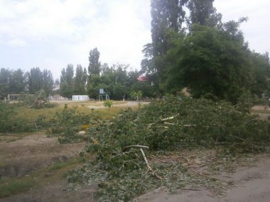 Вдоль несанкционированной торговой "аллейки" возле школы №33 срубили зеленые деревья | Корабелов.ИНФО image 7