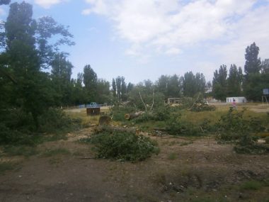 Вдоль несанкционированной торговой "аллейки" возле школы №33 срубили зеленые деревья | Корабелов.ИНФО image 6