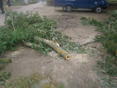 Вдоль несанкционированной торговой "аллейки" возле школы №33 срубили зеленые деревья | Корабелов.ИНФО image 4