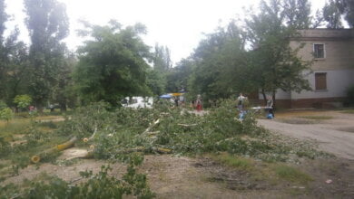 Вдоль несанкционированной торговой "аллейки" возле школы №33 срубили зеленые деревья | Корабелов.ИНФО image 2
