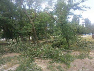 Вдоль несанкционированной торговой "аллейки" возле школы №33 срубили зеленые деревья | Корабелов.ИНФО image 1