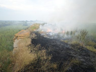 В Корабельном за сутки - более 5 пожаров на открытых территориях. Жители снова тушили траву на пустыре за школой № 48 (ВИДЕО) | Корабелов.ИНФО image 6