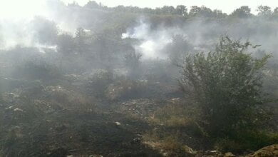 В Миколаєві сім годин горіло сміттєзвалище, залучались пожежники Вітовського району (ВІДЕО) | Корабелов.ИНФО image 1