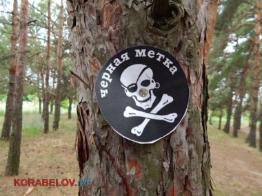 "Давай дружить!" Сотрудники ведущих предприятий в Корабельном устроили своим детям "пиратский квест" (ВИДЕО) | Корабелов.ИНФО image 17