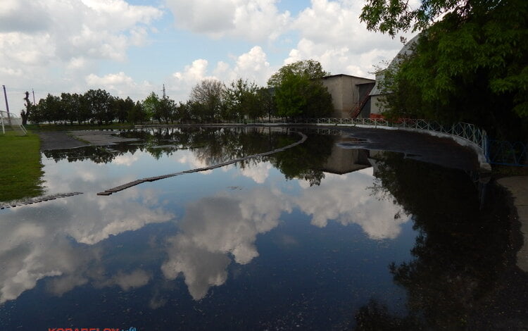 «Крутимся на 360 градусов». О подозрениях в хищении, проблемах ДЮСШ №5 и способах их решения – директор  Майя Рудаковская | Корабелов.ИНФО image 7