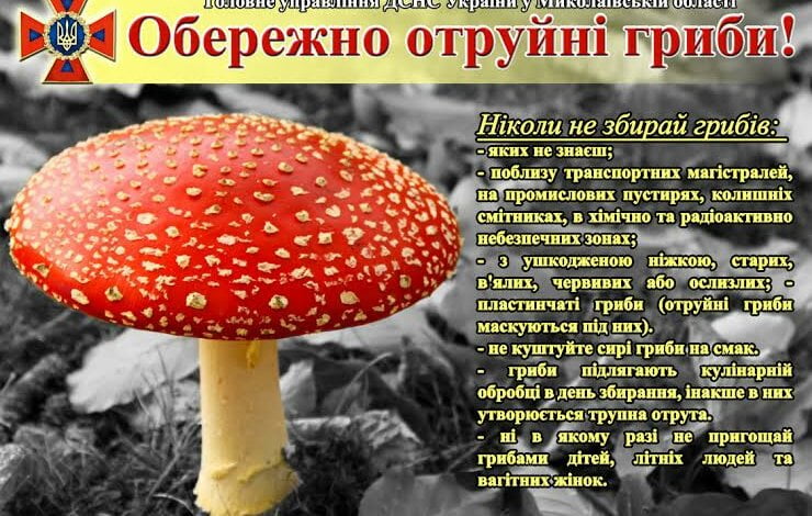 Обережно! Отруйні гриби! | Корабелов.ИНФО
