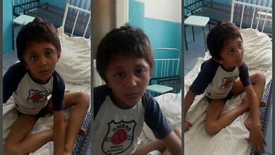 Николаевский медработник узнал в "Маугли", который ходит на четвереньках и ест цветы, Принца из многодетной семьи | Корабелов.ИНФО