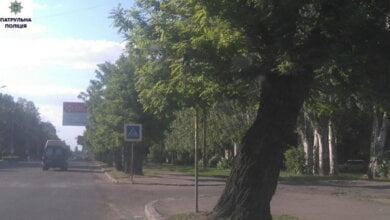 Посадових осіб «Миколаївзеленгоспу», що в Корабельному районі, притягнули до адміністративної відповідальності | Корабелов.ИНФО image 3