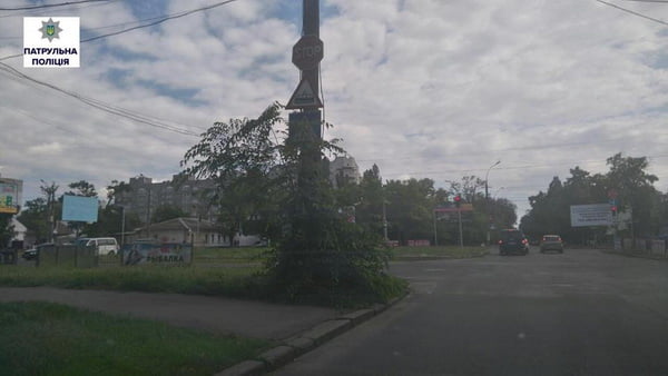 Посадових осіб «Миколаївзеленгоспу», що в Корабельному районі, притягнули до адміністративної відповідальності | Корабелов.ИНФО image 1