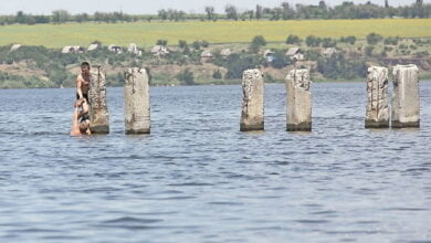 Кто виноват, и что делать? Администрация Корабельного района - о подробностях ЧП с подростком на пляже "Чайка" | Корабелов.ИНФО image 2