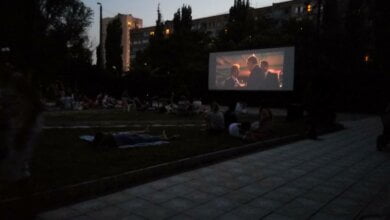 Этот островок красоты люди назвали "частичкой Европы". В Корабельном открыли дендропарк (ВИДЕО) | Корабелов.ИНФО image 6