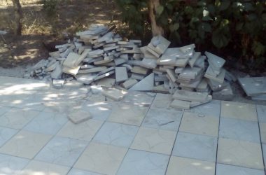 "Облом" и с фильмами, и с фонтаном... Николаевцы слегка разочарованы дендропарком в Корабельном районе | Корабелов.ИНФО image 2