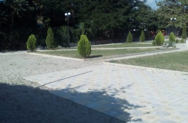 "Облом" и с фильмами, и с фонтаном... Николаевцы слегка разочарованы дендропарком в Корабельном районе | Корабелов.ИНФО image 3