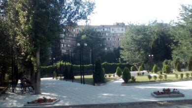 "Облом" и с фильмами, и с фонтаном... Николаевцы слегка разочарованы дендропарком в Корабельном районе | Корабелов.ИНФО image 4