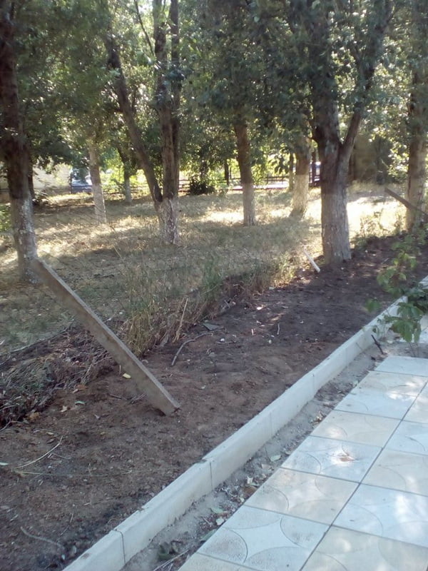 13770511_571394776395521_7444403780167575754_n