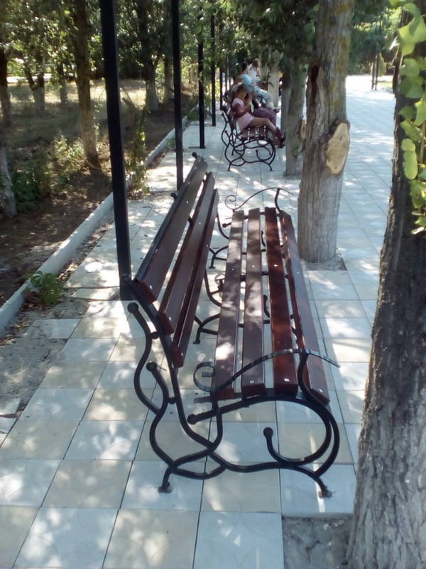 13782260_571394539728878_4531181489347265830_n