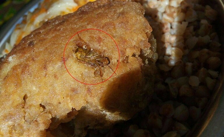 В Николаеве солдат кормят тараканами и червями, у ребят было отравление, но командование пытается скрыть этот факт | Корабелов.ИНФО image 1