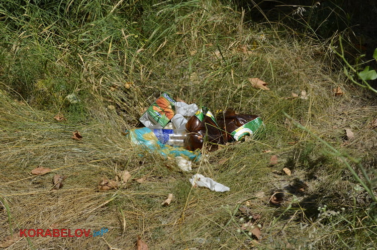 «Ой, це менталітет такий». Відпочиваючі на пляжі в Корабельному повільно перетворюють його на сміттєзвалище (ВІДЕО) | Корабелов.ИНФО image 18