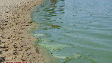 «Ой, це менталітет такий». Відпочиваючі на пляжі в Корабельному повільно перетворюють його на сміттєзвалище (ВІДЕО) | Корабелов.ИНФО image 9