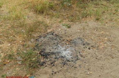 «Ой, це менталітет такий». Відпочиваючі на пляжі в Корабельному повільно перетворюють його на сміттєзвалище (ВІДЕО) | Корабелов.ИНФО image 26