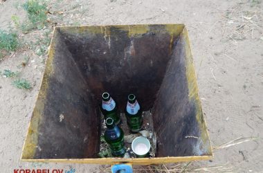 «Ой, це менталітет такий». Відпочиваючі на пляжі в Корабельному повільно перетворюють його на сміттєзвалище (ВІДЕО) | Корабелов.ИНФО image 28