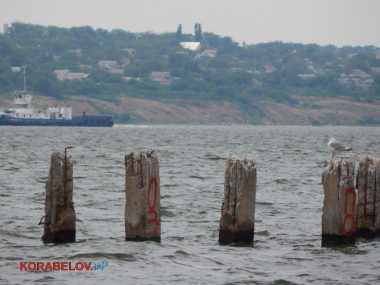«Ой, це менталітет такий». Відпочиваючі на пляжі в Корабельному повільно перетворюють його на сміттєзвалище (ВІДЕО) | Корабелов.ИНФО image 35