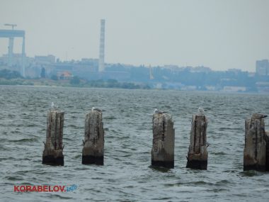 «Ой, це менталітет такий». Відпочиваючі на пляжі в Корабельному повільно перетворюють його на сміттєзвалище (ВІДЕО) | Корабелов.ИНФО image 38