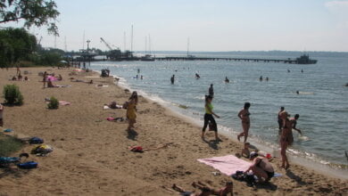 "Мальчику сорвало кожу с головы, оголив полчерепа". Нырять на пляже "Чайка" в Корабельном районе - крайне опасно! | Корабелов.ИНФО