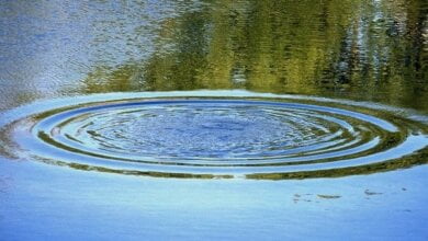 Будьте обережні на воді! За один день в Миколаєві потонуло 2 чоловіка | Корабелов.ИНФО