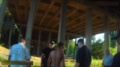 Злочинець з Корабельного району намагався пограбувати жінку під Широкобальським шляхопроводом. Злодія затримали | Корабелов.ИНФО image 1