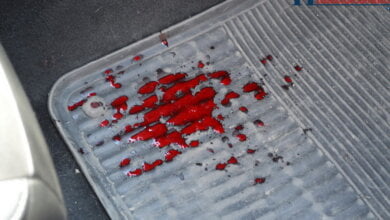 В Николаеве администратор фитнес-клуба, носивший футболку с Путиным, набросился с ножом на клиента, сделавшего замечание | Корабелов.ИНФО image 1