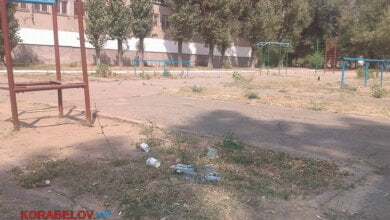 На школьном дворе в Корабельном - кучи бутылок из-под спиртного и опасные деревья | Корабелов.ИНФО image 1