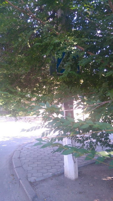 14202554_526742574203620_5498661971728529257_n