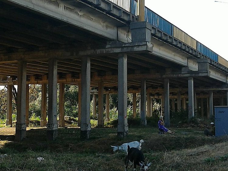 В Николаеве Широкобальский мост, соединяющий два района, нуждается в экспертизе состояния, - активисты | Корабелов.ИНФО image 2