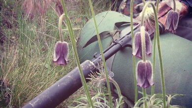 Раненый Ангел: семь погибших, 42 раненых | Корабелов.ИНФО