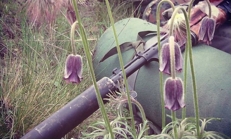 Раненый Ангел: семь погибших, 42 раненых | Корабелов.ИНФО