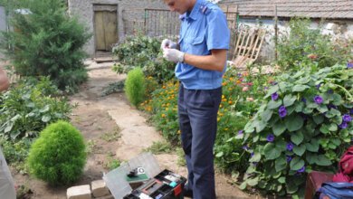 У жителя Корабельного района изъяли арсенал оружия и боеприпасов | Корабелов.ИНФО image 1