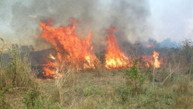 Пожарные второй час пытаются справиться с масштабным пожаром в Корабельном районе (видео) | Корабелов.ИНФО