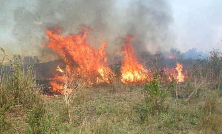 Пожарные второй час пытаются справиться с масштабным пожаром в Корабельном районе (видео) | Корабелов.ИНФО