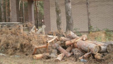 Верховний суд України підтвердив незаконність дерибана на "Маяку" | Корабелов.ИНФО image 1