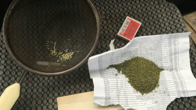 В Корабельном районе выращивают не только простую коноплю, но и "элитную" | Корабелов.ИНФО image 1