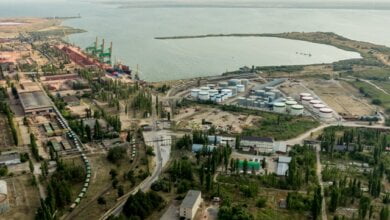 "Необходимо прекратить дотировать порты Одессы за счет николаевских портов", - директор терминала возле НГЗ Д. Фалько | Корабелов.ИНФО image 3