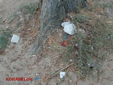 "Страшно, конечно, но делать-то нечего"... Несмотря на запрет из-за кишечной палочки, жители Корабельного купаются в реке. ВИДЕО | Корабелов.ИНФО image 9