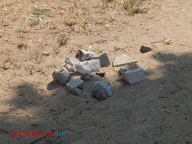 "Страшно, конечно, но делать-то нечего"... Несмотря на запрет из-за кишечной палочки, жители Корабельного купаются в реке. ВИДЕО | Корабелов.ИНФО image 11