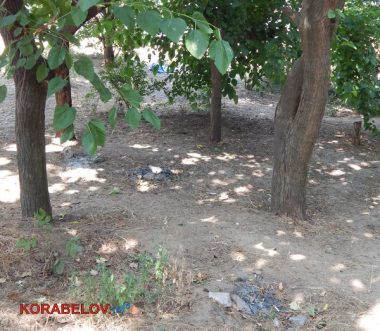 "Страшно, конечно, но делать-то нечего"... Несмотря на запрет из-за кишечной палочки, жители Корабельного купаются в реке. ВИДЕО | Корабелов.ИНФО image 14