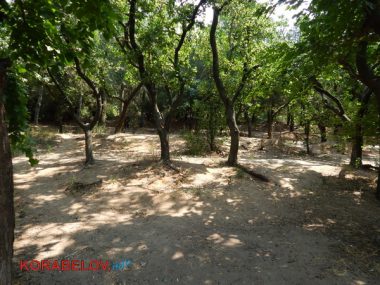 "Страшно, конечно, но делать-то нечего"... Несмотря на запрет из-за кишечной палочки, жители Корабельного купаются в реке. ВИДЕО | Корабелов.ИНФО image 16