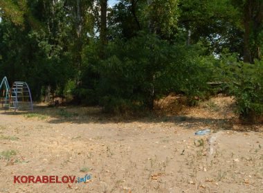 "Страшно, конечно, но делать-то нечего"... Несмотря на запрет из-за кишечной палочки, жители Корабельного купаются в реке. ВИДЕО | Корабелов.ИНФО image 20